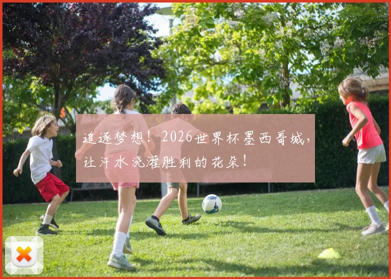 追逐梦想！2026世界杯墨西哥城，让汗水浇灌胜利的花朵！