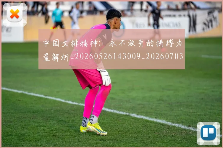 中国女排精神：永不放弃的拼搏力量解析_20260526143009_20260703204528